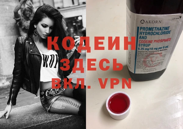 a pvp Куртамыш